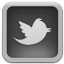 Twitter For Mac Grey Icon 64x64 png